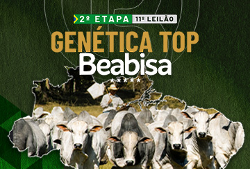 11º LEILÃO GENÉTICA TOP BEABISA - 2º ETAPA